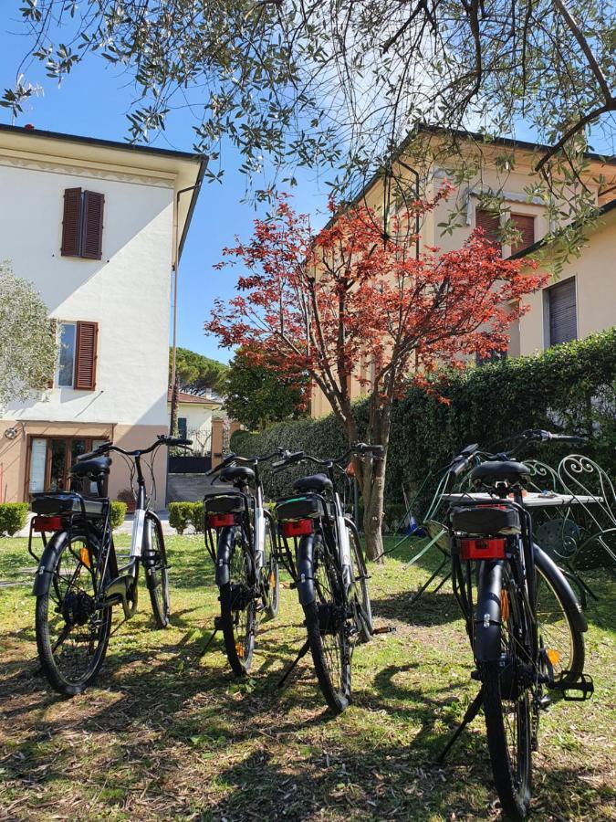 Il Giardino Del Pettirosso Hotel Lucca Exterior photo